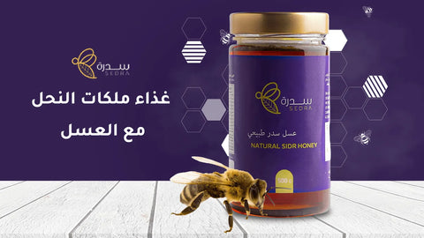 غذاء ملكات النحل مع العسل