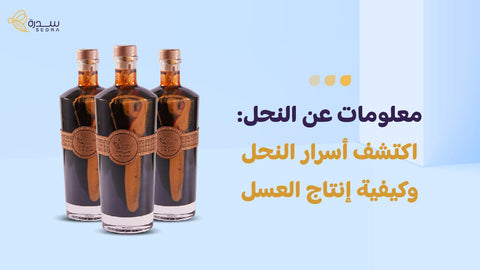 معلومات عن النحل
