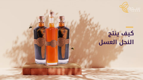 كيف ينتج النحل العسل